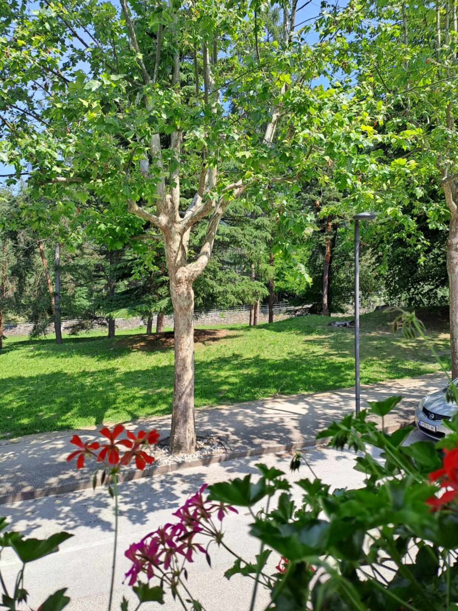 Casa Alby Apartment Levico Terme Exterior photo